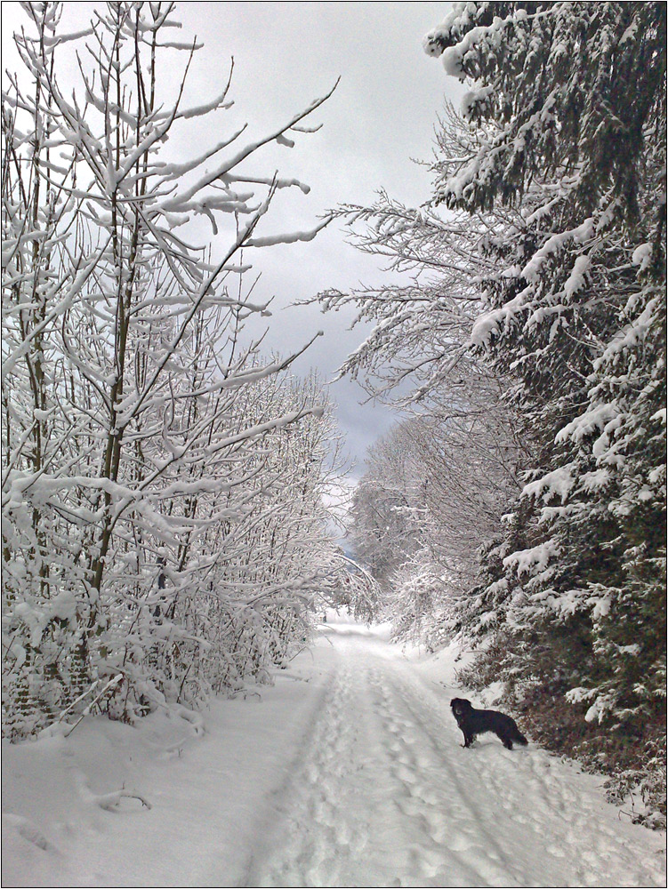 Winter vor der Haustür