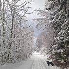 Winter vor der Haustür