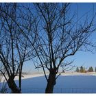 Winter vor der Haustüre