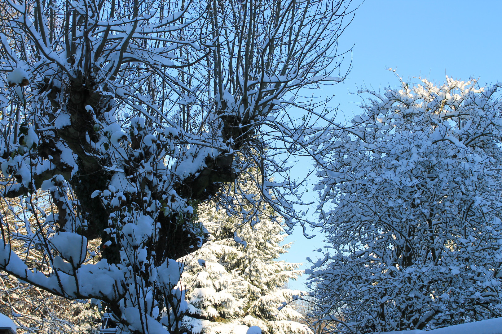 winter vor der Tür