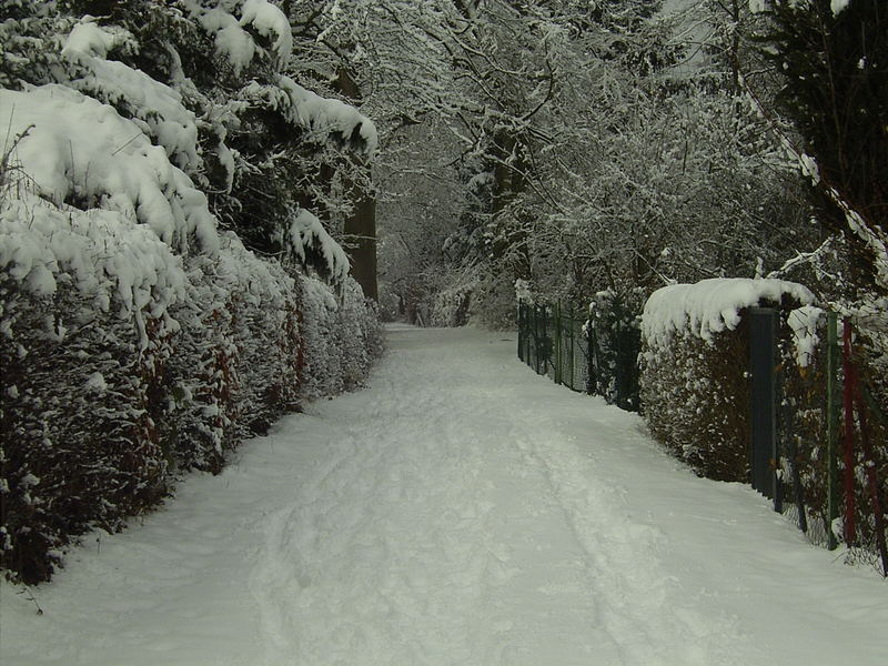 Winter vor einem Jahr !!!