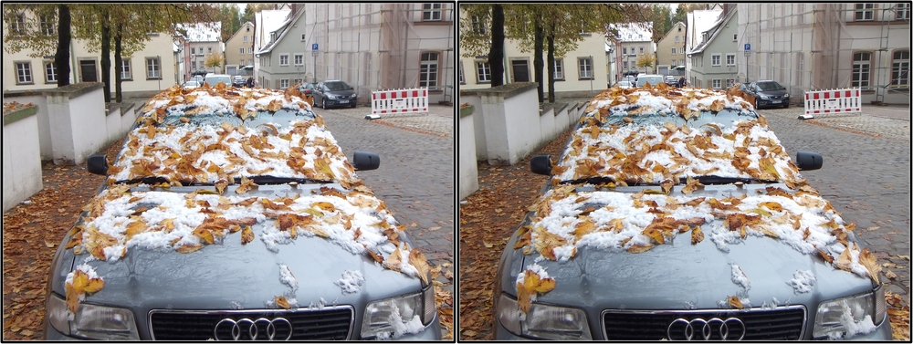 Winter vor Herbst 3D Kreuzblick