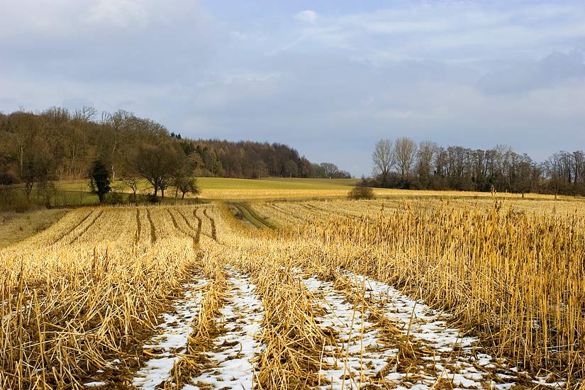 Winter vorbei?