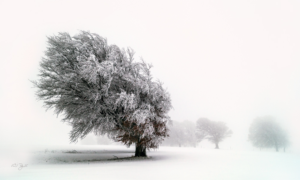 winter vorfreude