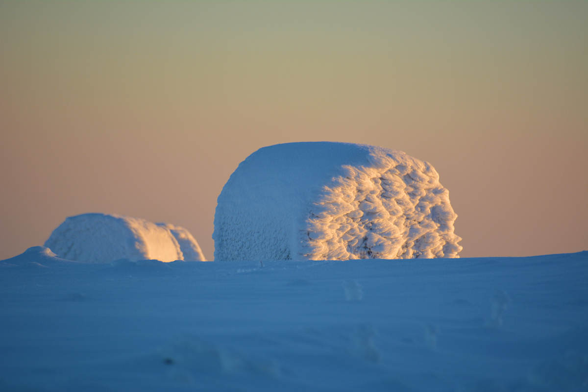 Winter-Vorrat