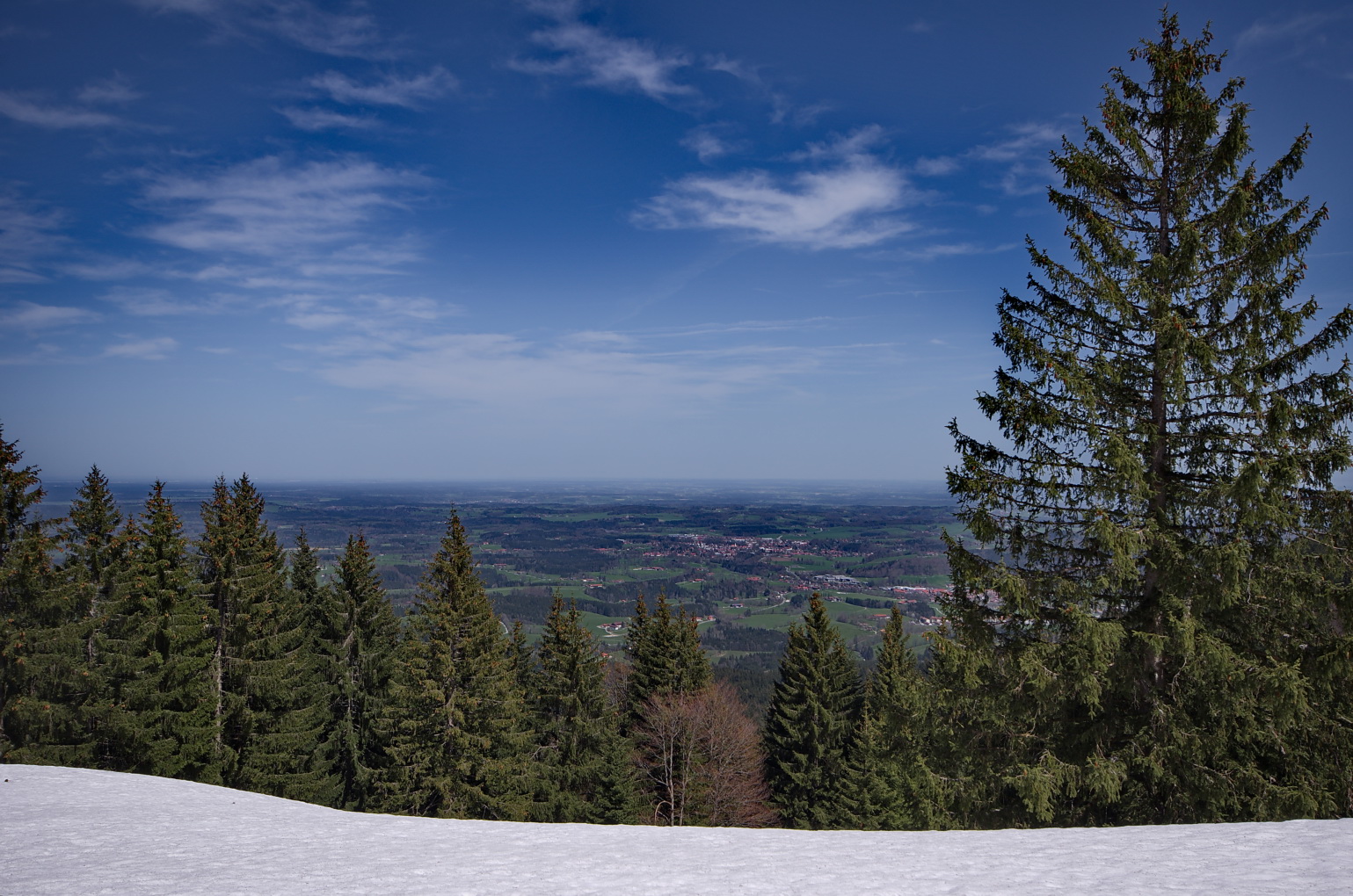 Winter vs Frühling 1