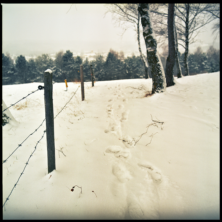 ... winter wäre auch mal wieder toll ...