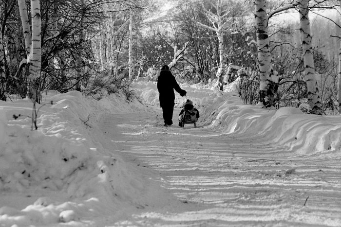 Winter Walk