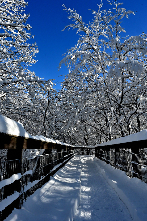 winter-walk
