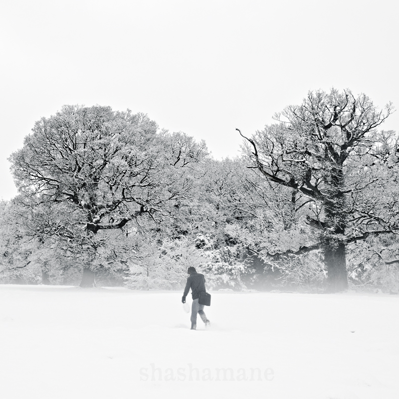 Winter walk