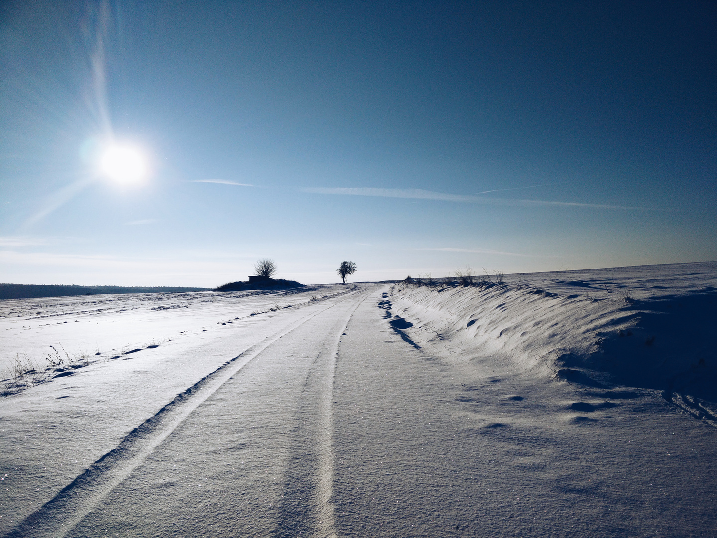 Winter Walk