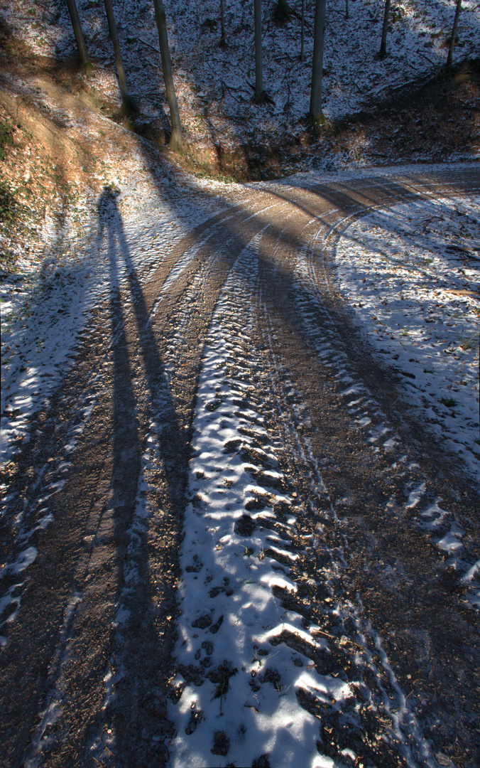 winter walk