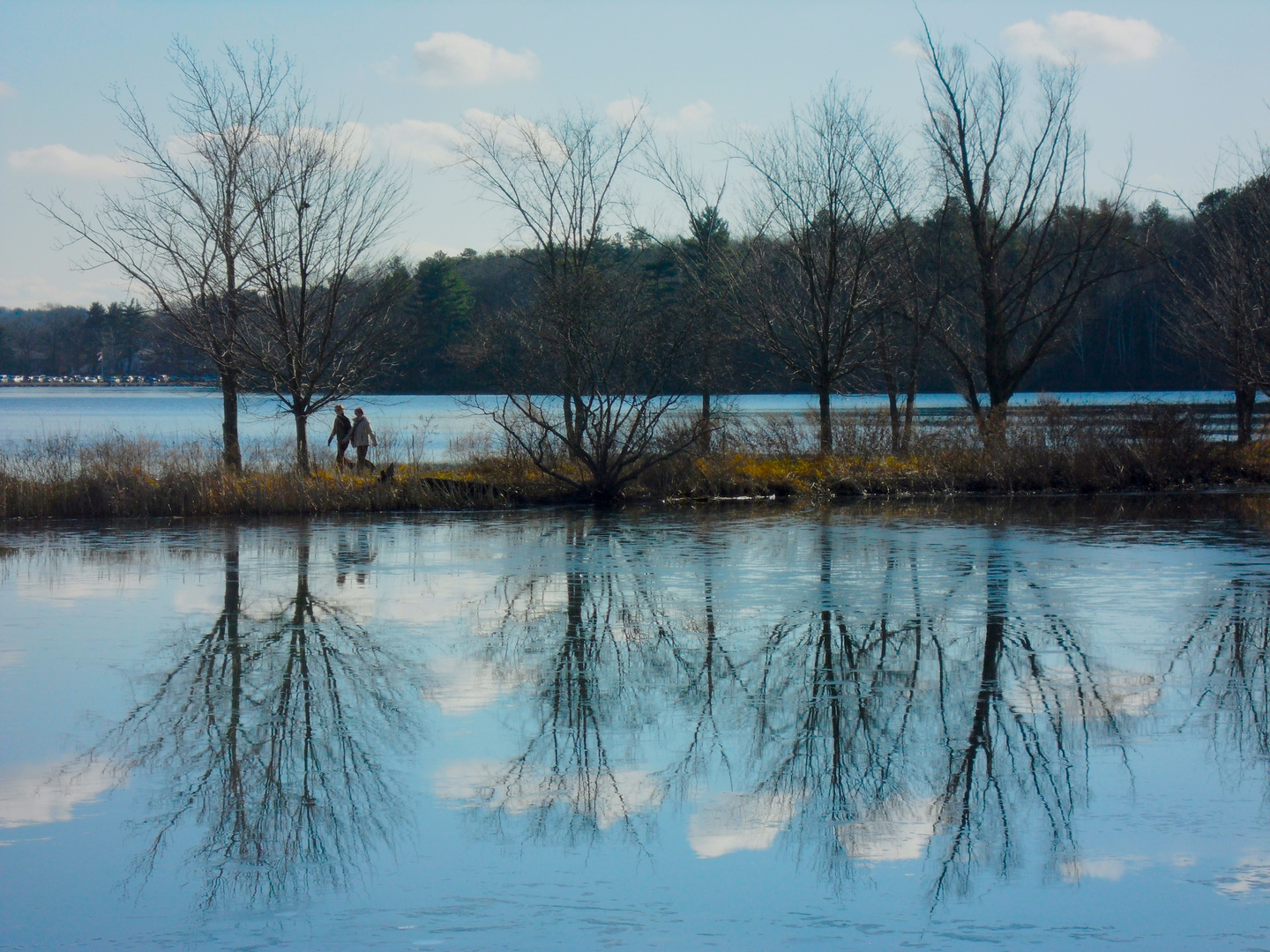 Winter Walk