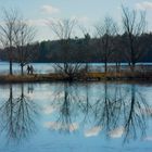 Winter Walk