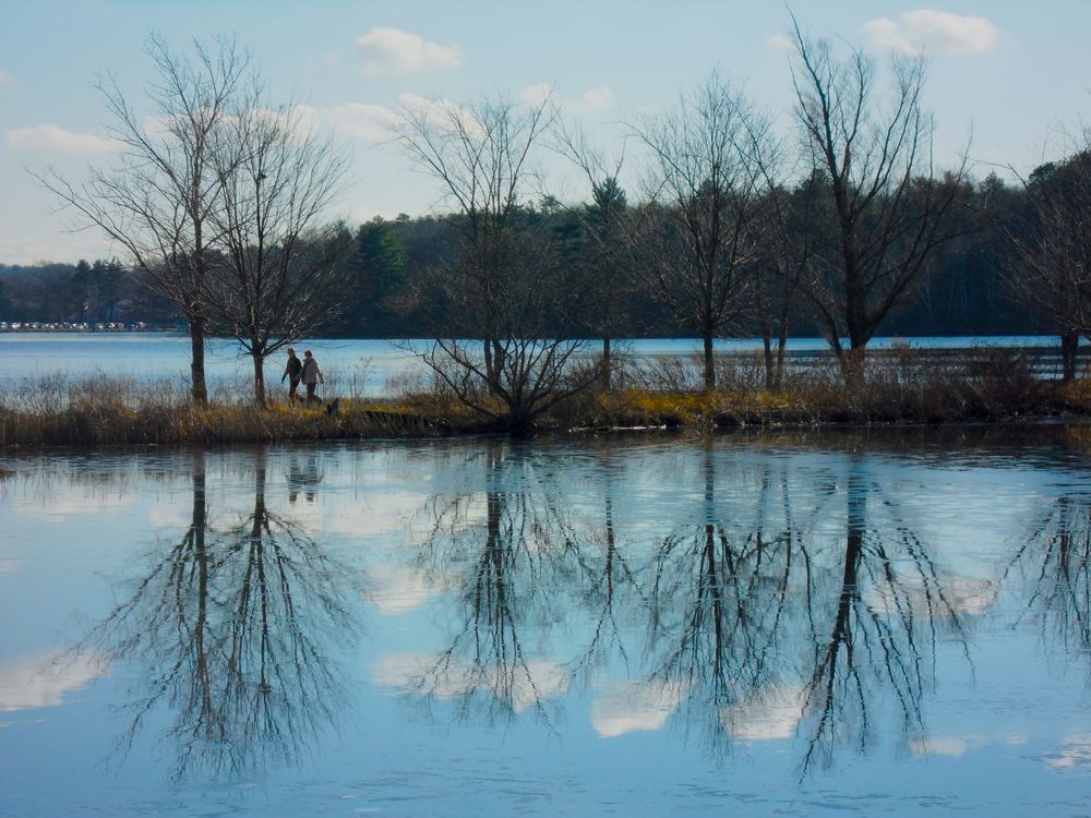 Winter Walk