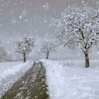 winter walk - "Ain't No Sunshine"