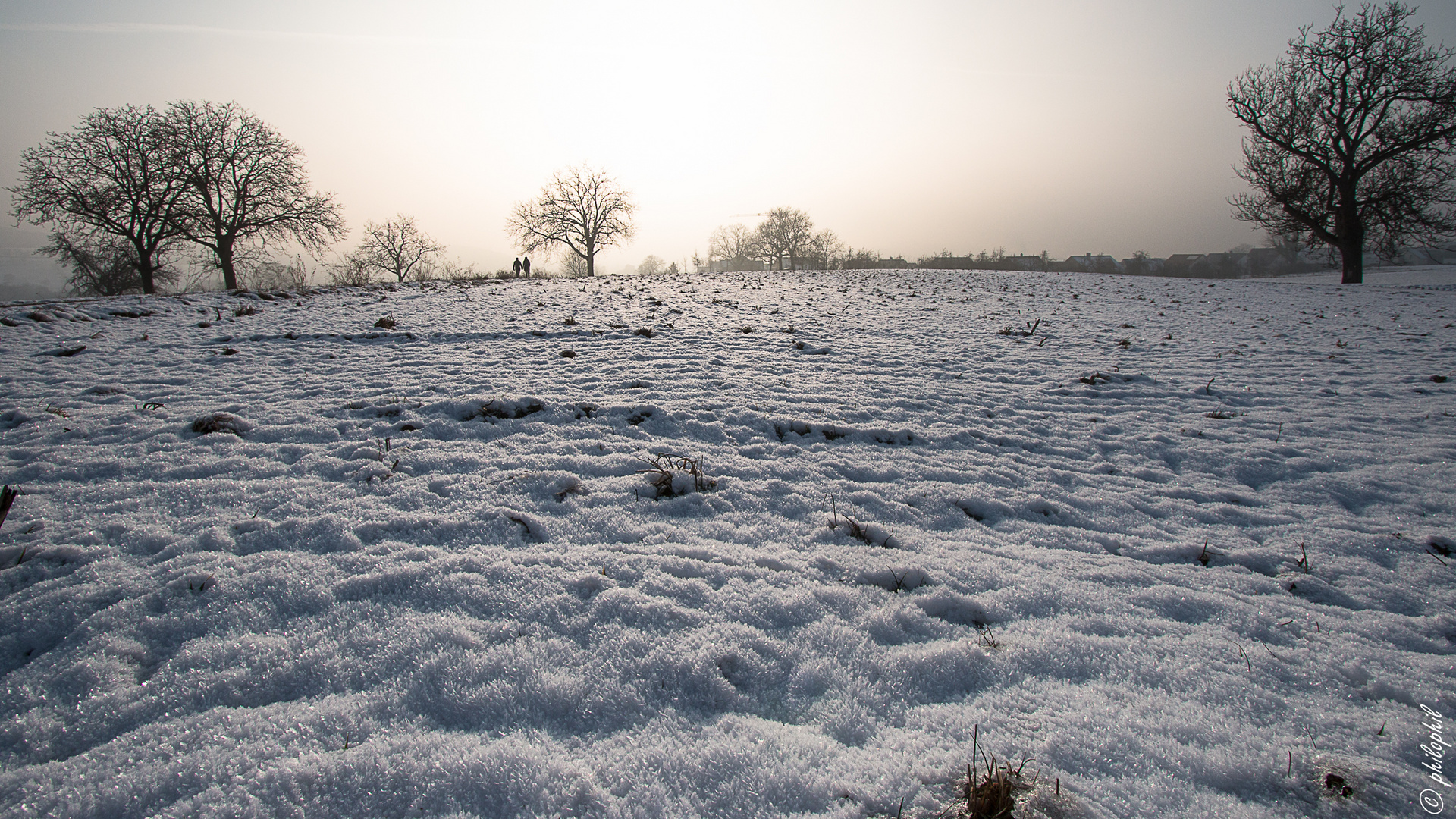 winter walk