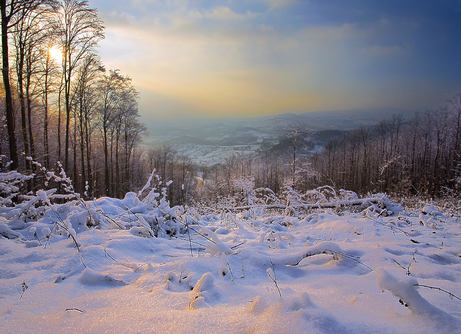 WINTER WALK