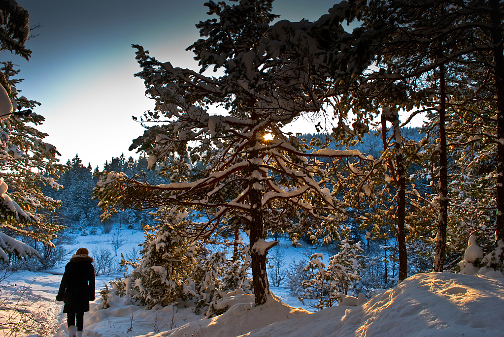 Winter walk on RAKITNA - Slovenia