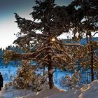 Winter walk on RAKITNA - Slovenia