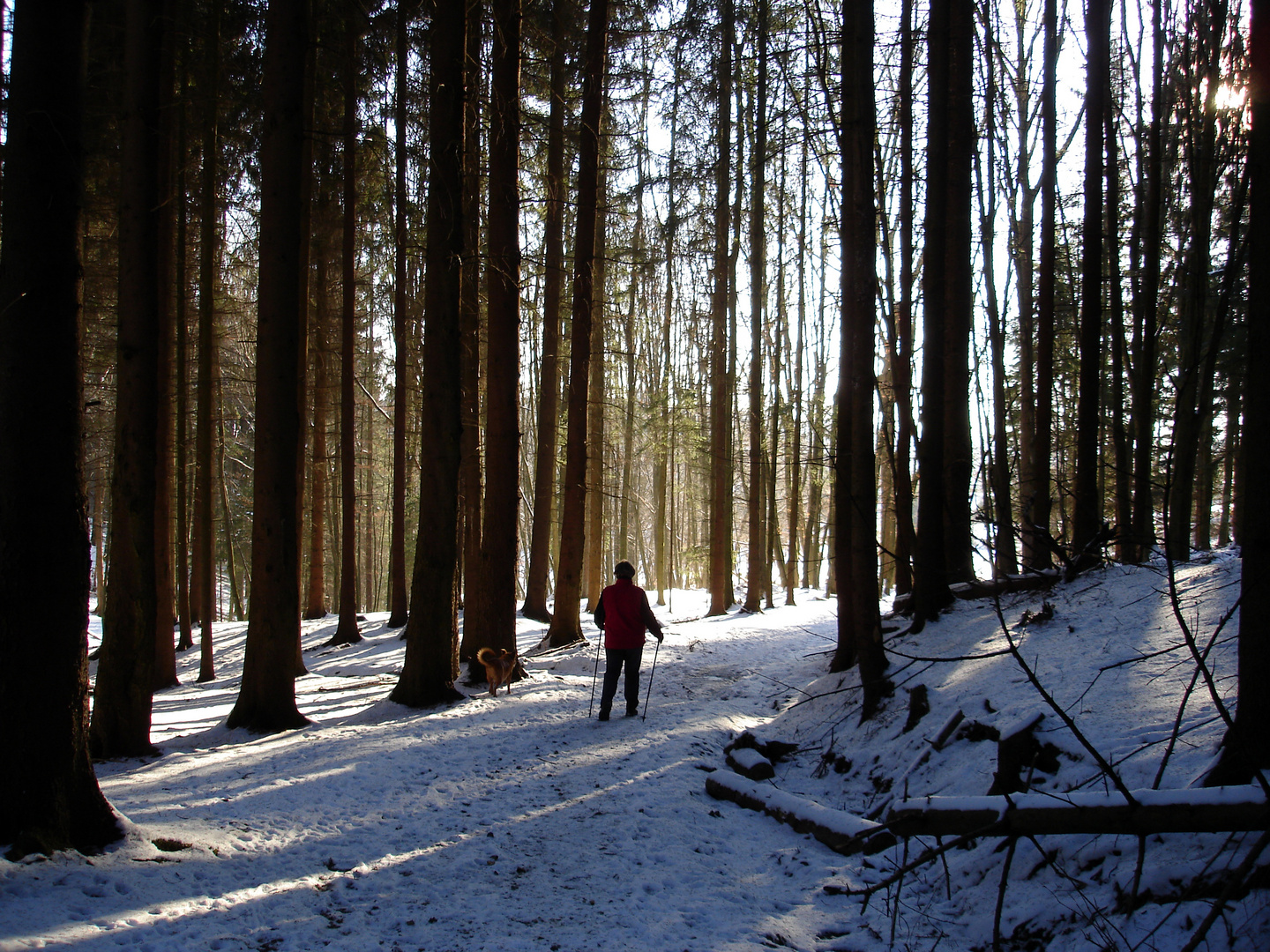 Winter-Walker