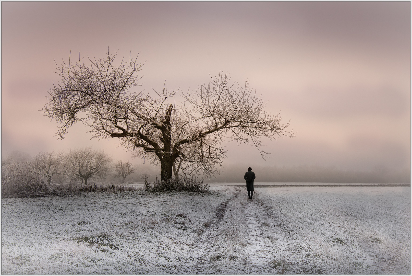 winter walking