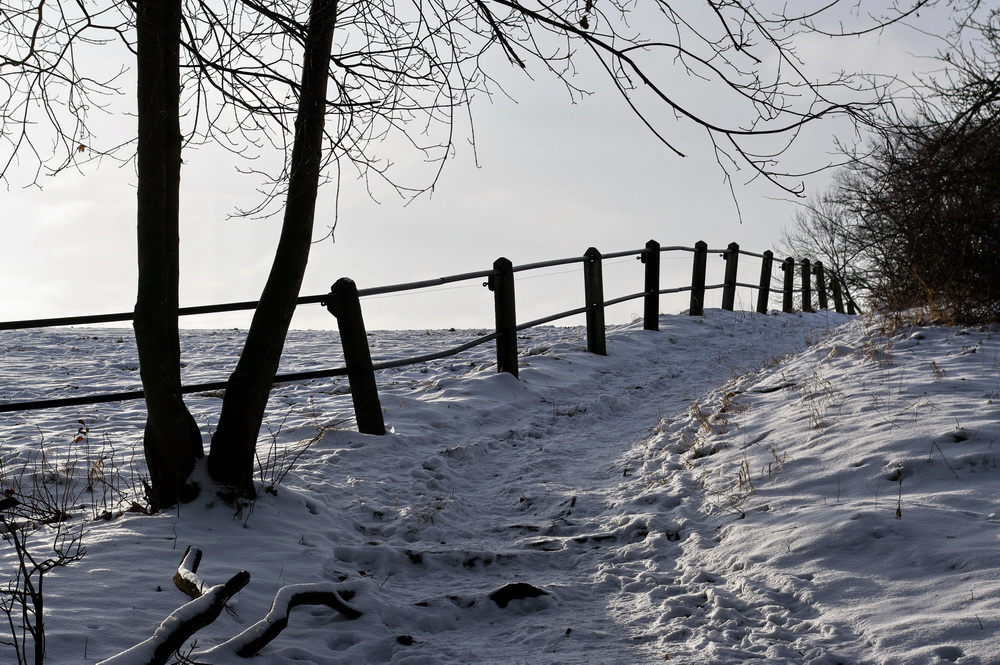 Winter-Wander-Weg