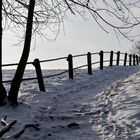 Winter-Wander-Weg