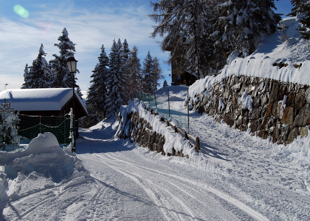 Winter-Wandertag