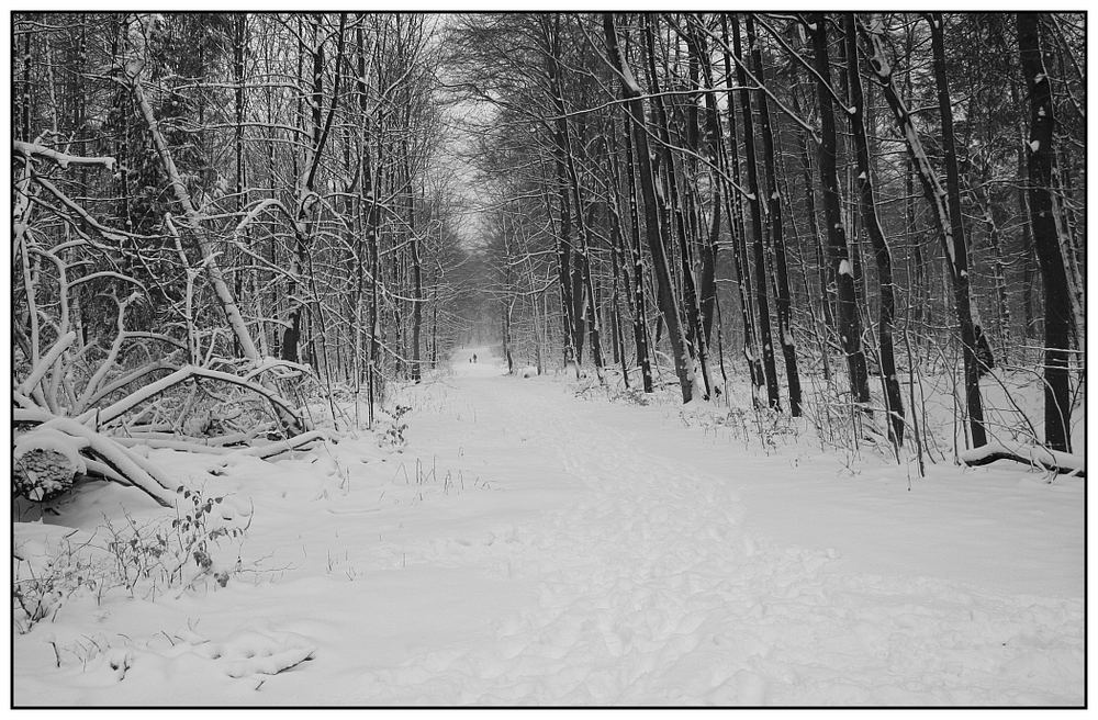 Winter -Wanderung