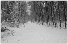 Winter -Wanderung