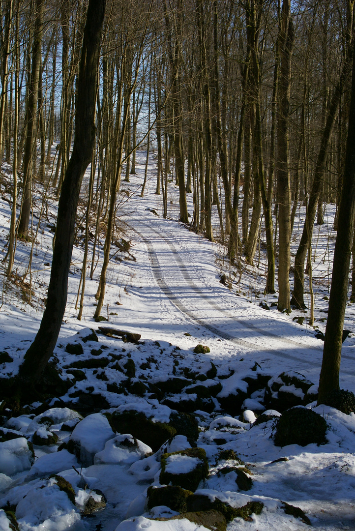 Winter - Wanderung