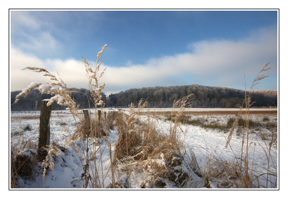 Winter-Wanderung