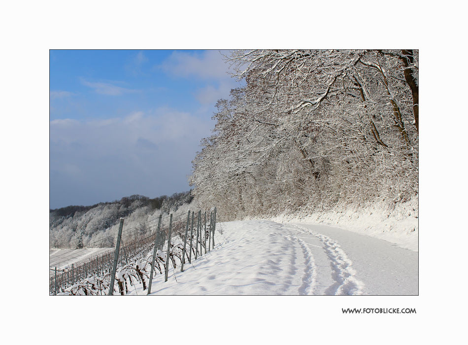 Winter Wanderung