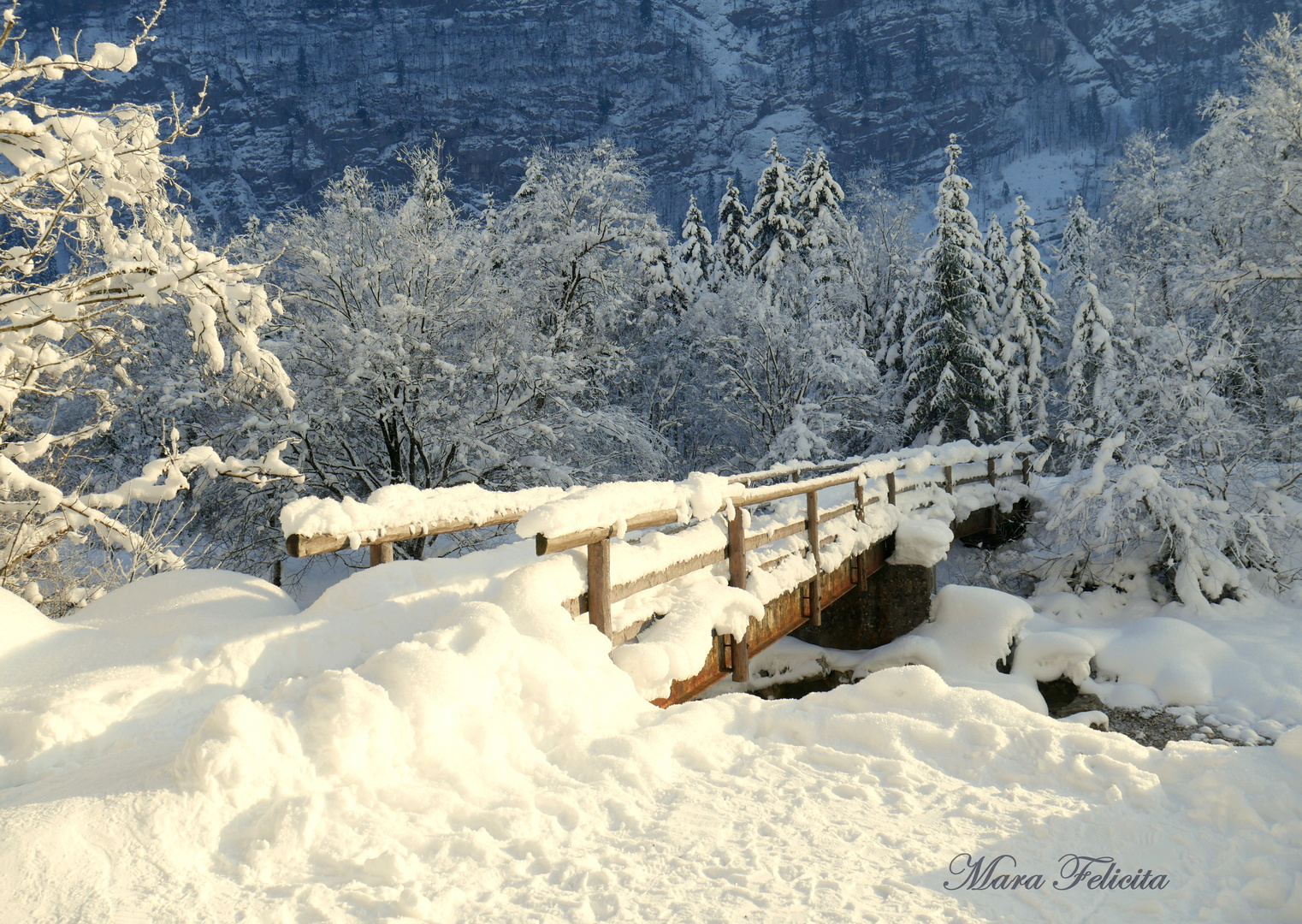 WINTER .......Wanderung vor 2 Tagen - ist das nicht schön?