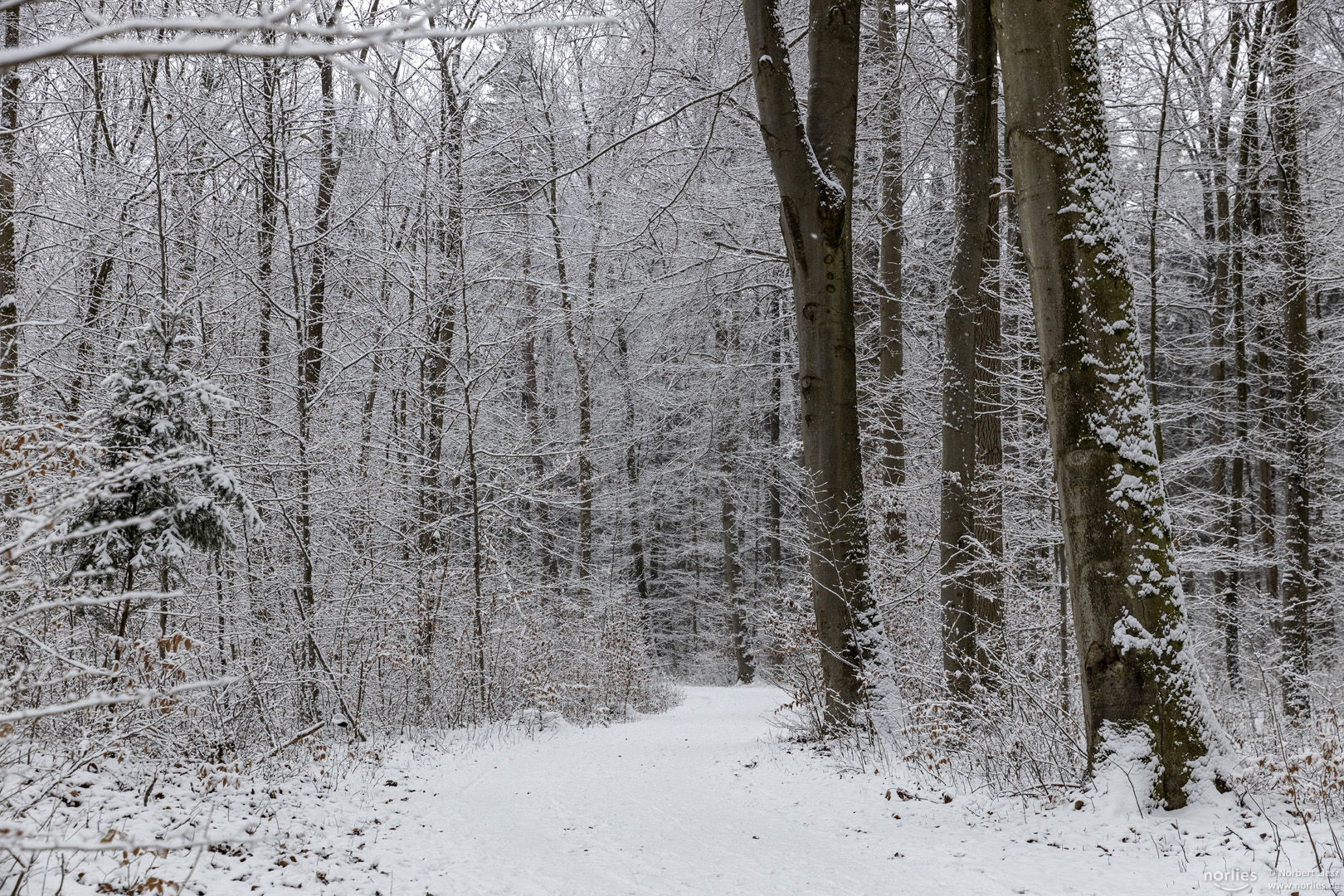 Winter Wanderweg