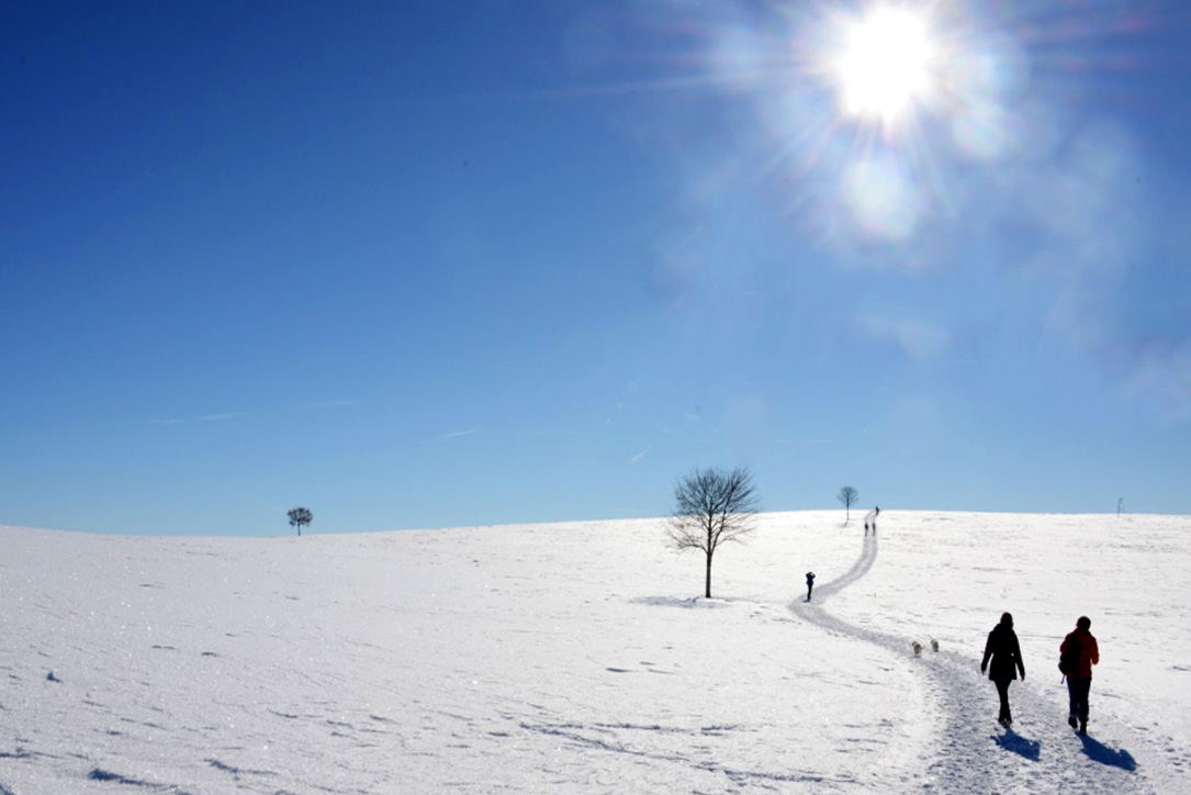 Winter- Wanderweg