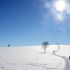 Winter- Wanderweg