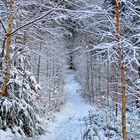 Winter Wanderweg