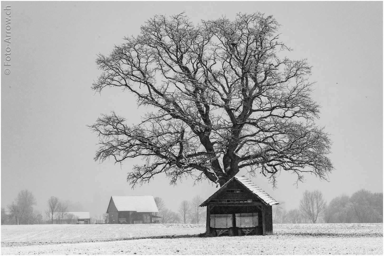 Winter war's, mit wenig Schnee...