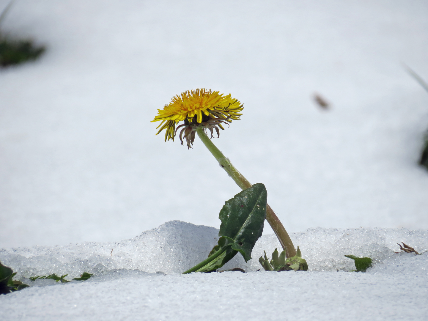 Winter, was ist das?