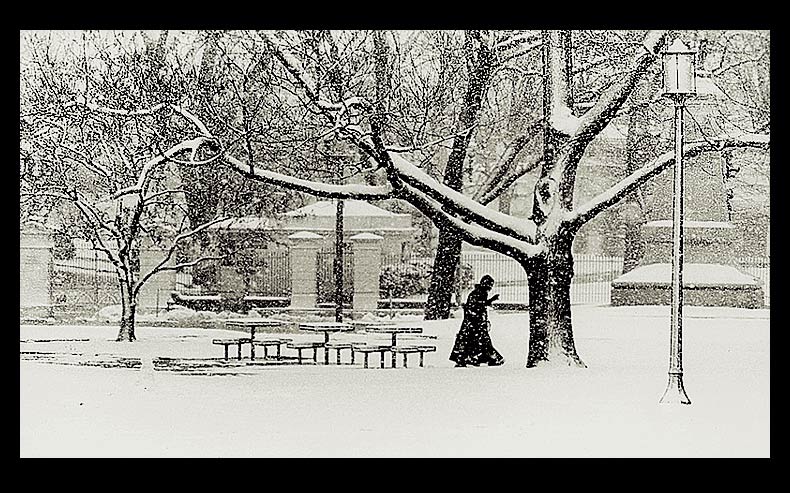 Winter, Washington, D.C.