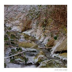 winter water melodies (3)