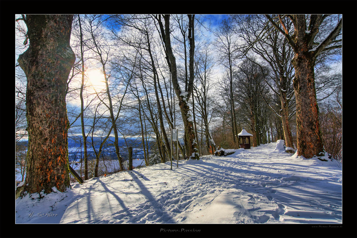 Winter Weg