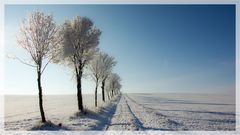 Winter Weg