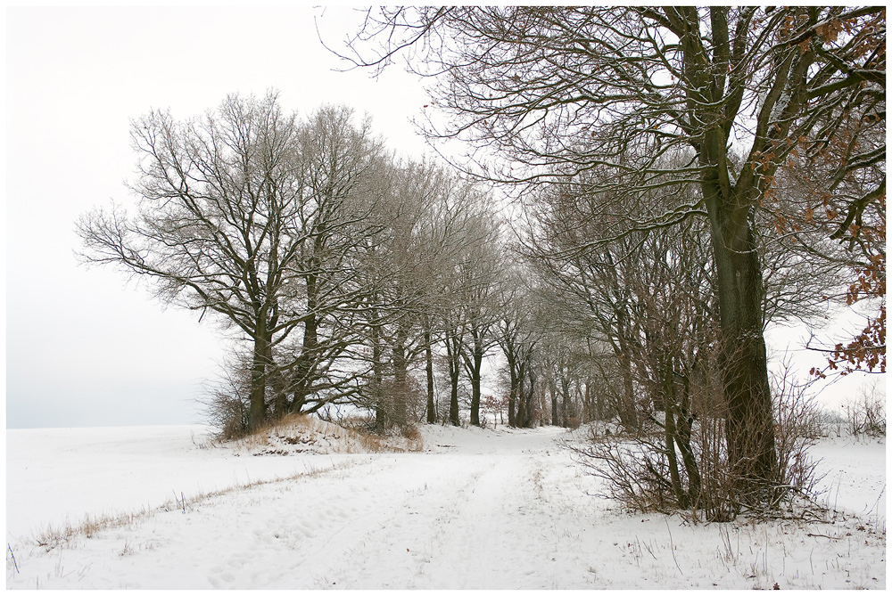 Winter Weg