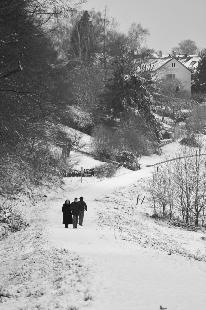 Winter Wege......