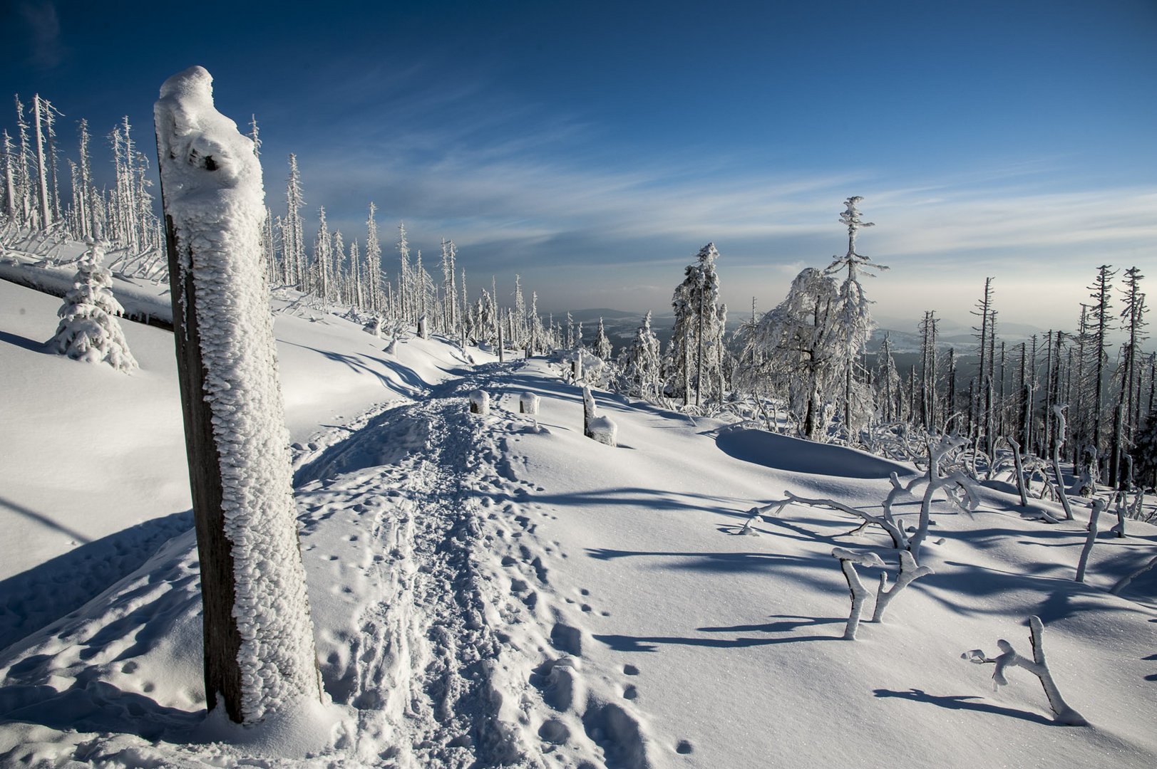 Winter-Wege - Lebens-Wege