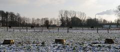 Winter-Weide