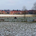 Winter-Weide II